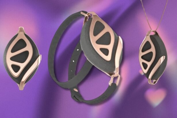 Bellabeat Leaf Urban